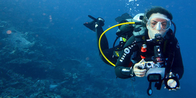 Dr. Hedwig Hanusch-Scheuringer